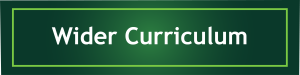 WIDER CURRICULUM